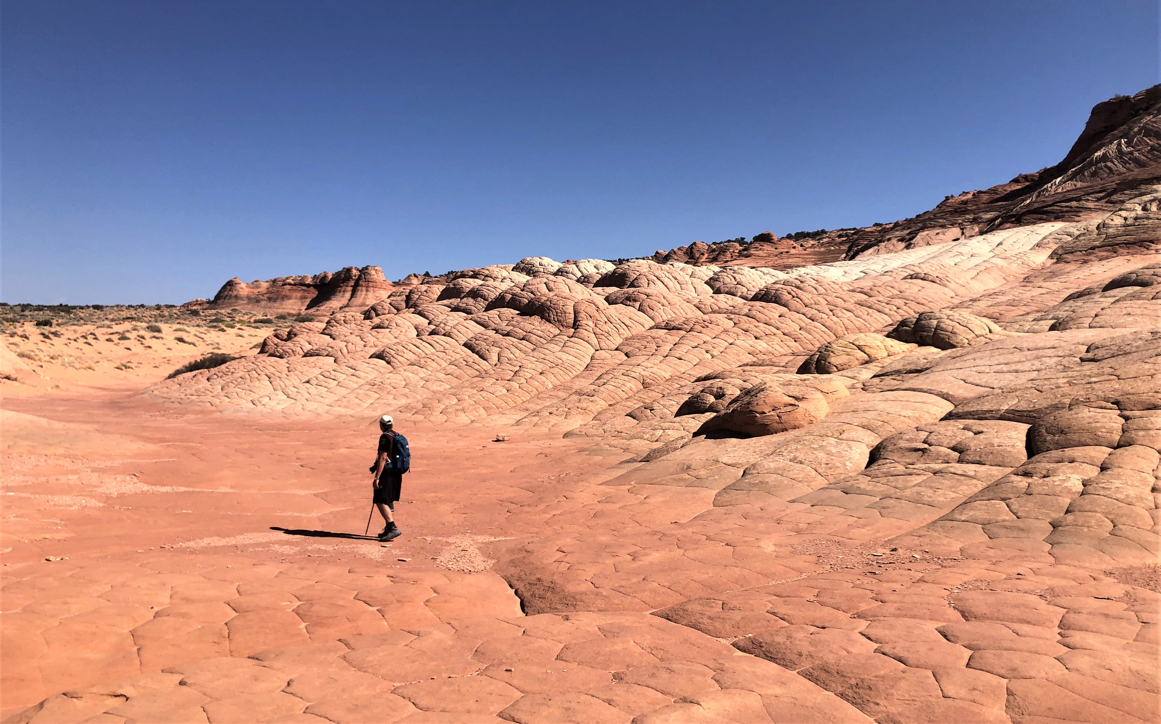 Vermillion Cliffs NM